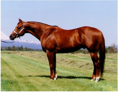 Spectacular One - Sorrel Quarter Horse
